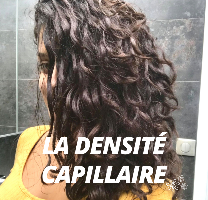 Connaître ses cheveux #3 : La densité capillaire
